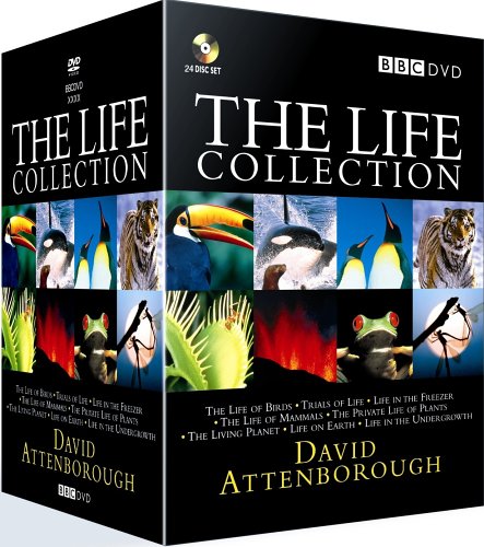 Childrens Toyshop  DVD : The Life Collection : David Attenborough (24 Disc BBC Box Set)
