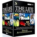The Life Collection : David Attenborough (24 Disc BBC Box Set) [DVD] [1990]