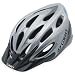 Giro Indicator Sport Bike Helmet (Titanium, Universal Fit)