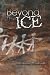 Beyond the Ice