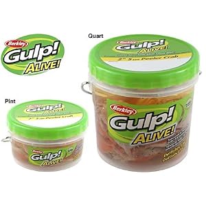 Gulp Alive - Amber Glow Peeler Crab 2 Quart Container by 