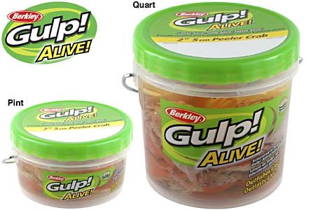 Berkley Gulp Alive Bait Sugar Spice Glow Squid 3