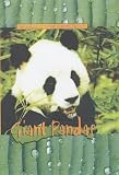 Giant Pandas (Animals of the Rainforest)