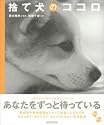 捨て犬のココロ