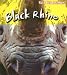 Books : Black Rhino (Save Our Animals!)