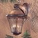 5107vZ9p4HL. SL75  Minka Lavery Lights 8762 166 Medium Wall Mount Light   Corona Bronze Outdoor Lighting