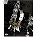 Bill Russell Boston Celtics - Vert/Action2 - 8x10 Autographed Black and White Photograph
