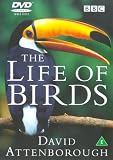 David Attenborough - The Life of Birds [3 DVDs] [UK Import]
