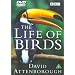 David Attenborough - The Life of Birds [3 DVDs] [UK Import]