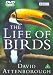 DVD : David Attenborough's Life Of Birds [UK IMPORT]