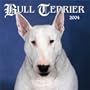 Bull Terriers 2004 Calendar