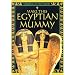 Make This Egyptian Mummy (Make This Model)