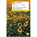 Teach Yourself Bulgarian (Teach Yourself) Accompanies Book