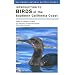 Introduction to Birds of the Southern California Coast (California Natural History Guides)
