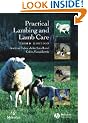Practical Lambing and Lamb Care: A Veterinary Guide