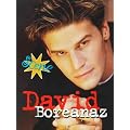 David Boreanaz (Scene!) book cover