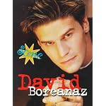 David Boreanaz (Scene!) book cover