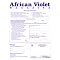 Grow african violets
