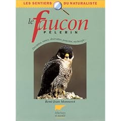 Le faucon p�lerin