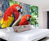 Wall Mural Decal Sticker Parrots MMartin112