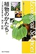 植物のかたち―その適応的意義を探る (生態学ライブラリー)