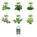 AeroGarden Gourmet Herb Seed Pod Kit (6 pod)
