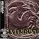 Sevendust