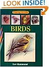 Birds (Drawing in Color)