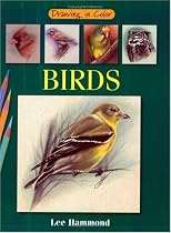 Birds (Drawing in Color)