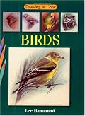 Birds (Drawing in Color)