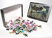 Photo Jigsaw Puzzle of Underwater Photography from Mary Evans
