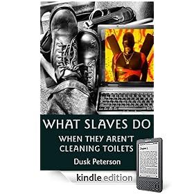 What Slaves Do When They Aren't Cleaning Toilets: A Tale of Web Accessibility in the Cybersex Era (Master/Other)