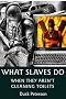 What Slaves Do When They Aren't Cleaning Toilets: A Tale of Web Accessibility in the Cybersex Era (Master/Other)