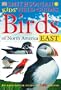 Smithsonian Kids' Field Guides: Birds of North America East