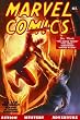 Golden Age Marvel Comics Omnibus Volume 1 HC Jelena Kevic Djurdjevic Cover