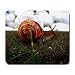 Snail Large Mousepad mouse pad Great Gift Idea