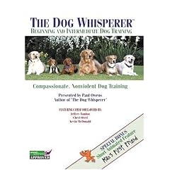 The Dog Whisperer: Beginning and Intermediate Dog Training