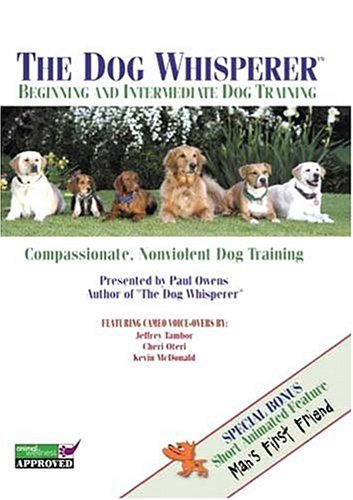 Beginning and Intermediate Dog Training