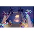 Paradise Island Complete Theme Kit
