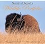 North Dakota Wildlife Portfolio