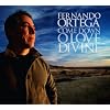 Come Down O Love Divine