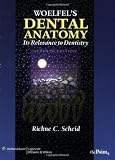 Woelfel's Dental Anatomy: Its Relevance to Dentistry