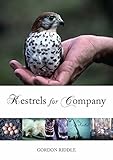 Kestrels for company