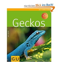 Geckos (Tierratgeber)