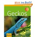 Geckos (Tierratgeber)