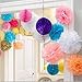 Orino8482; Pom Poms - 5pcs 2 Sizes Tissue Paper Flowers, Tissue Paper Pom Poms, Wedding Decor, Party Decor, Pom Pom Flowers, Tissue Paper, Tissue Paper Flowers Kit, Pom Poms Craft, Wedding Pom Poms, Pom Poms Decoration (Blue&Light Blue)
