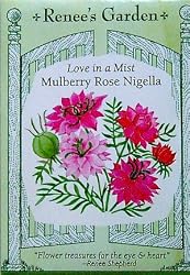 Nigella Mulberry Rose Love in a Mist Seeds 200 Seeds