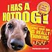 I Has a Hotdog. by Professor Happycat