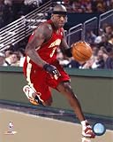 Al Harrington , 16x20