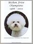 Bichon Frise Champions, 1988-2001